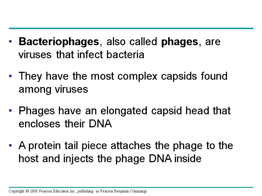 Bacteriophages, also called phages, are viruses that infect bacteria They have the most complex